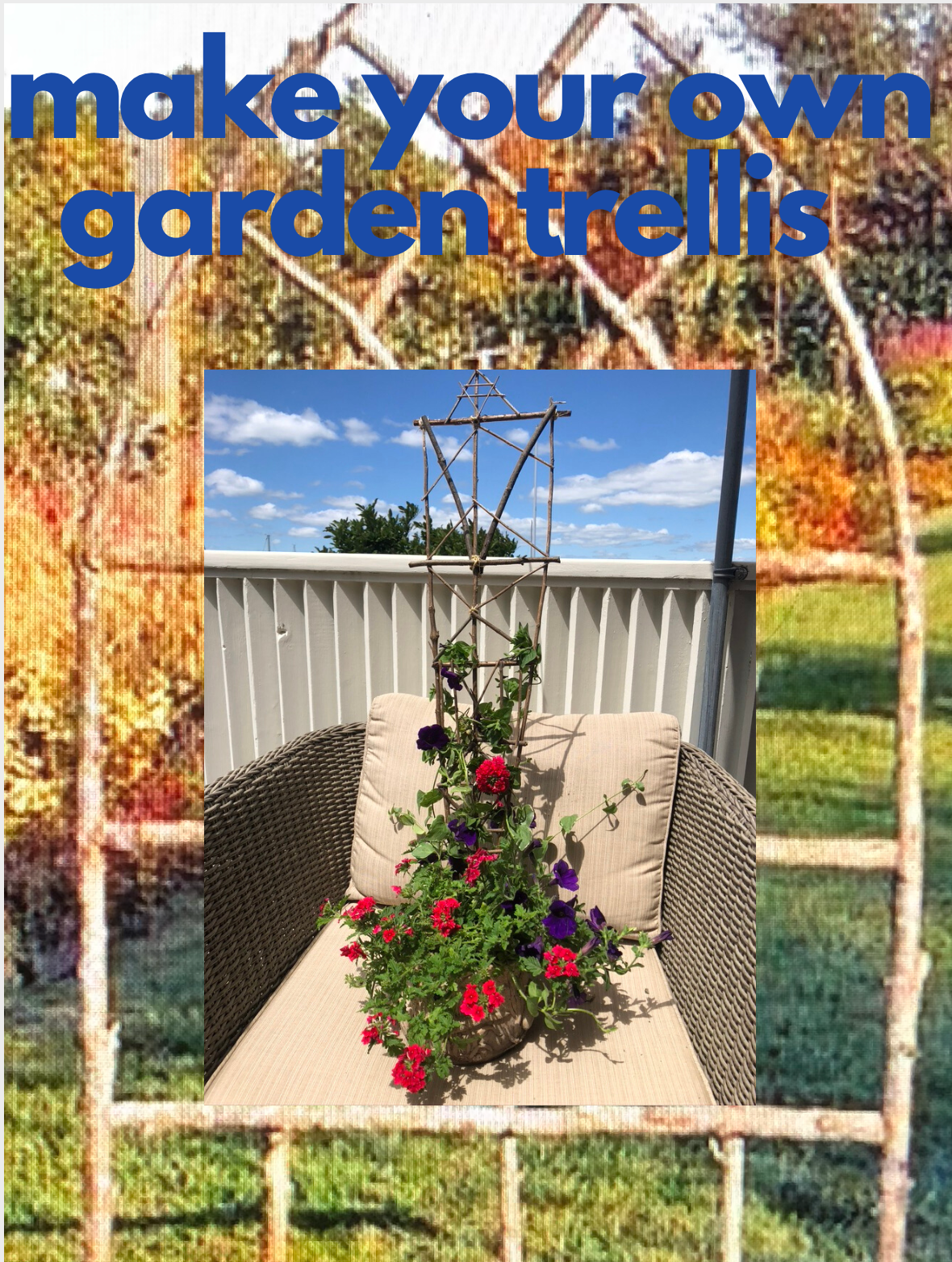 Garden Trellis