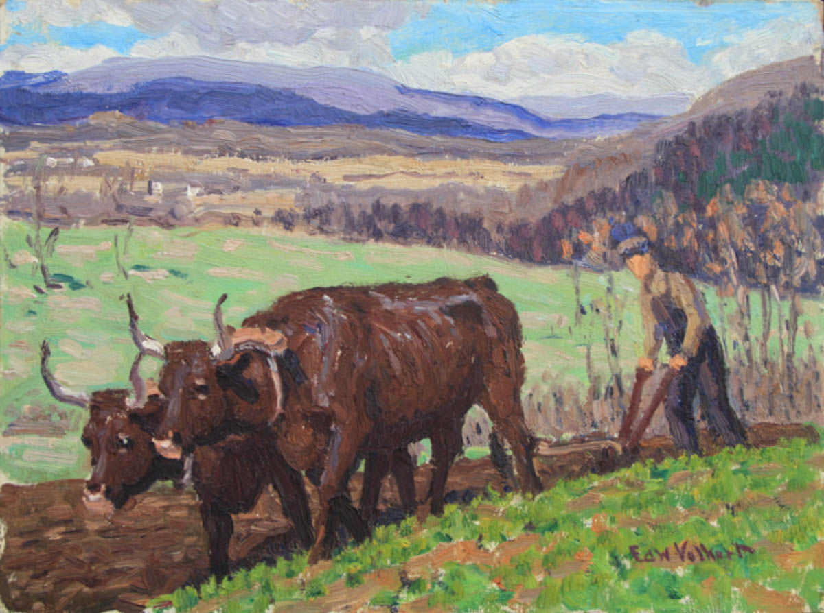 Untitled [Two Brown Oxen with Man Plowing Field]