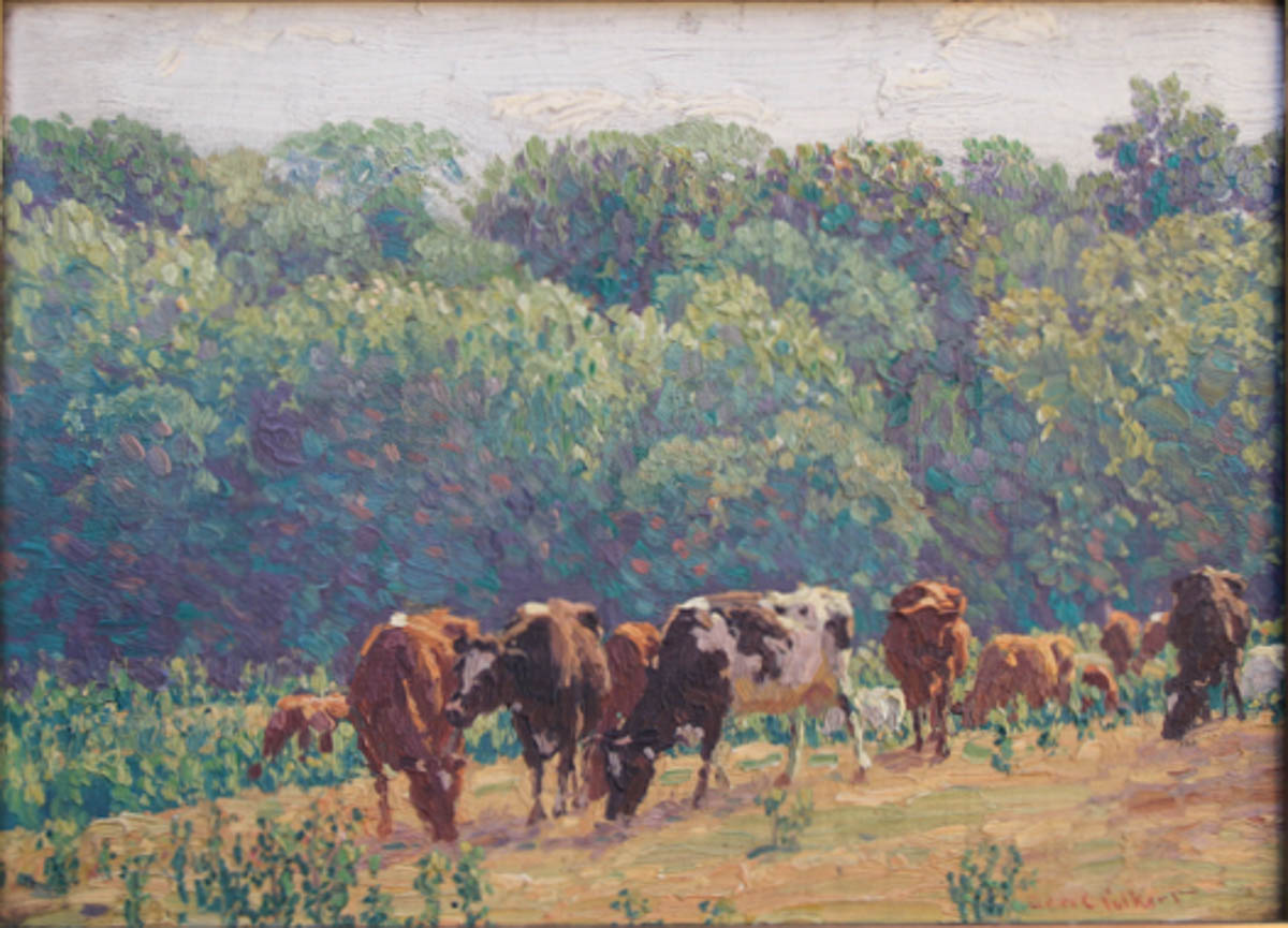 Untitled [Holsteins and Guernseys Grazing in Pasture]