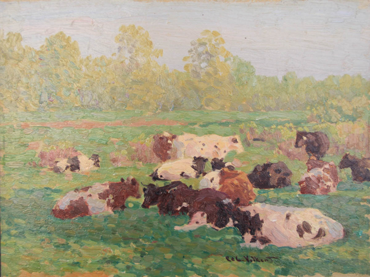 Untitled [Guernseys and Holsteins Lying in Field]