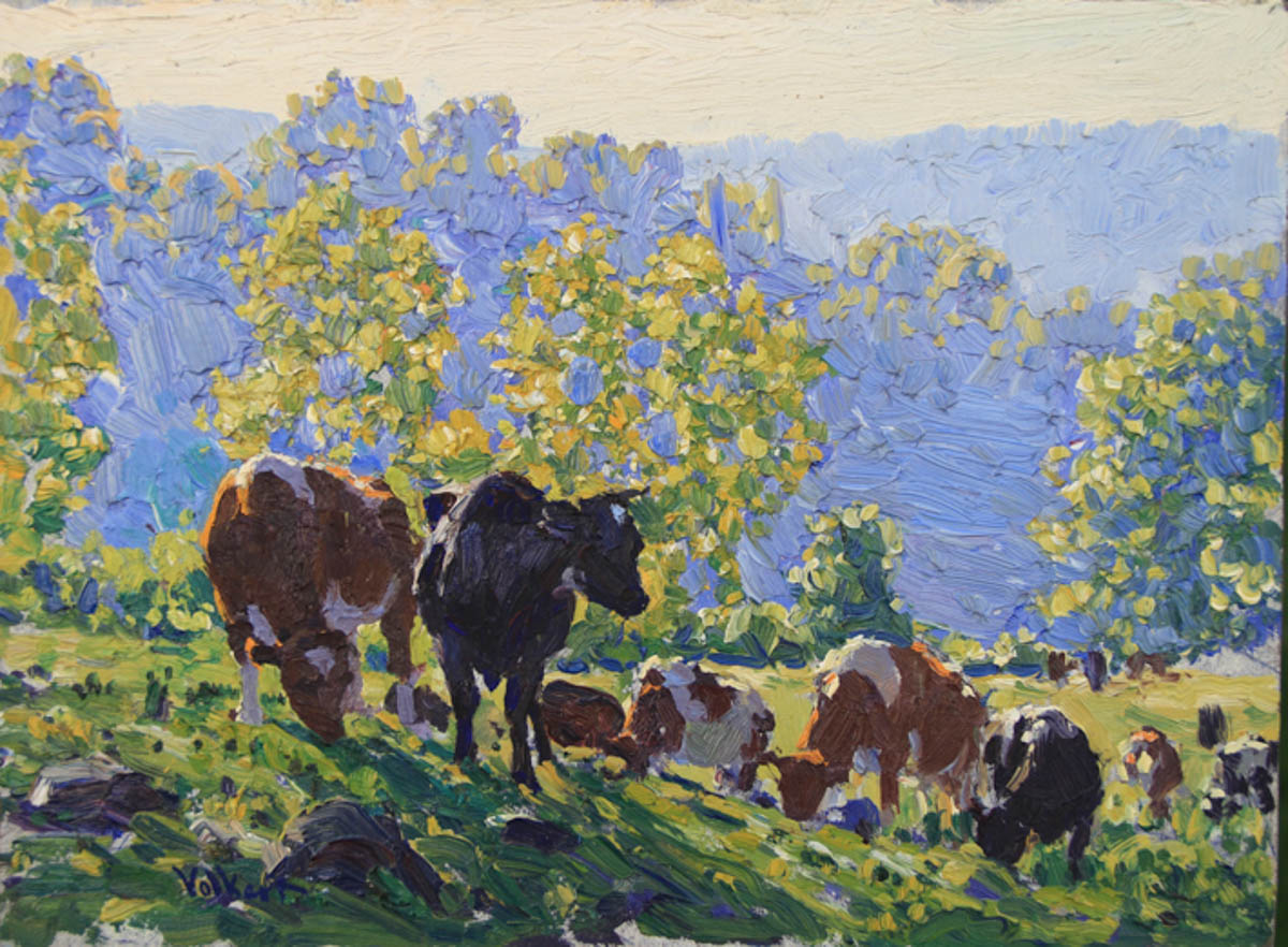 Untitled [Guernseys and Holsteins on hill, shady foreground with sunlight behind]