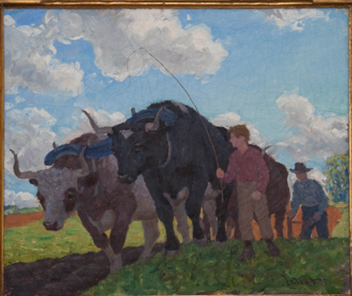 Untitled [Man and Boy Plowing with Oxen]