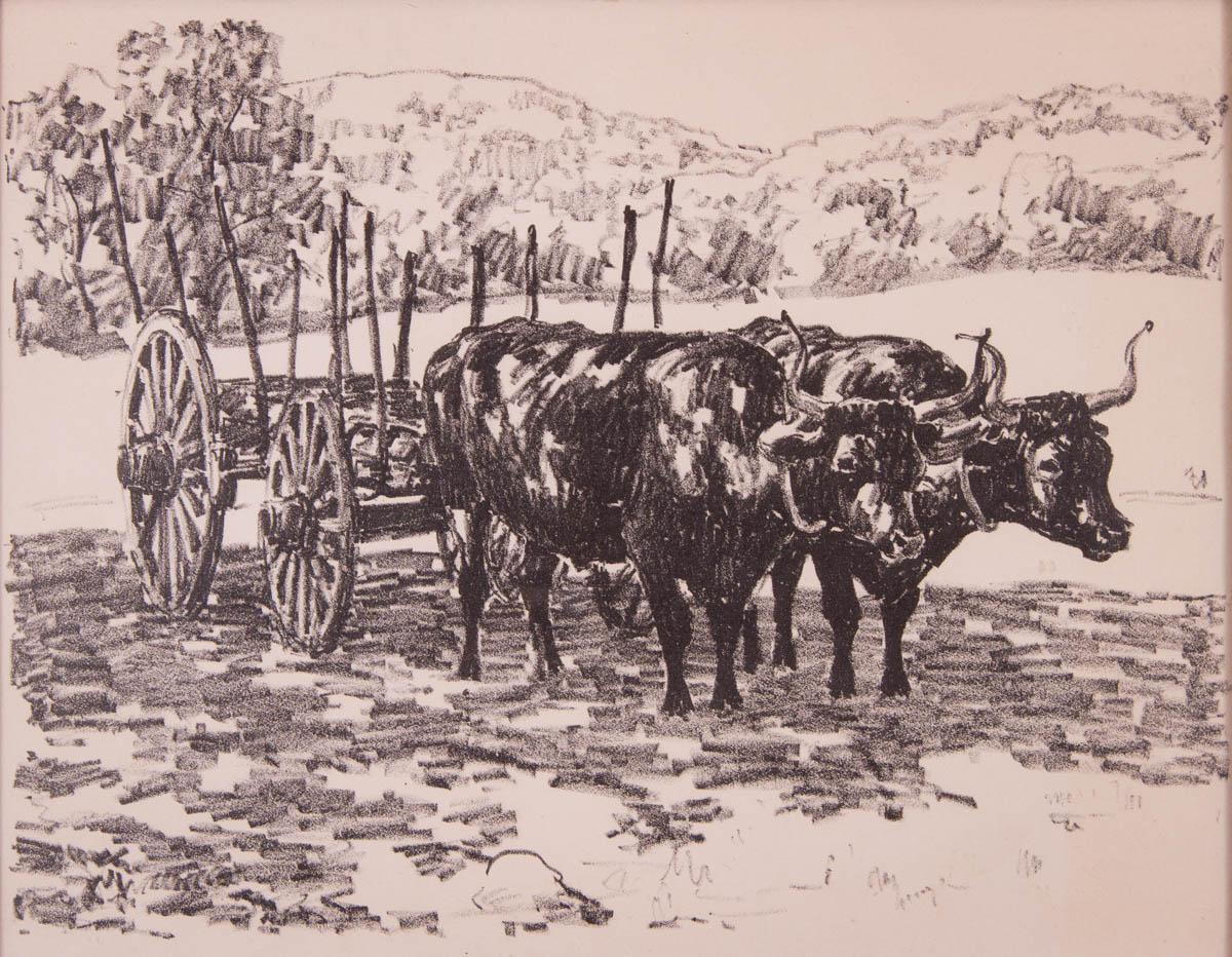 Untitled [Oxen and cart]