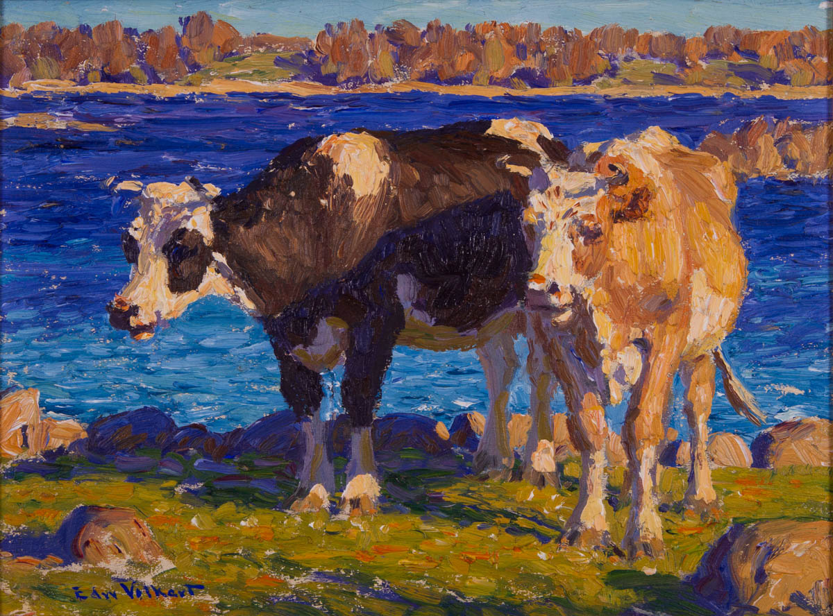 Untitled [Two cows, Holstein and Guernsey, by water]