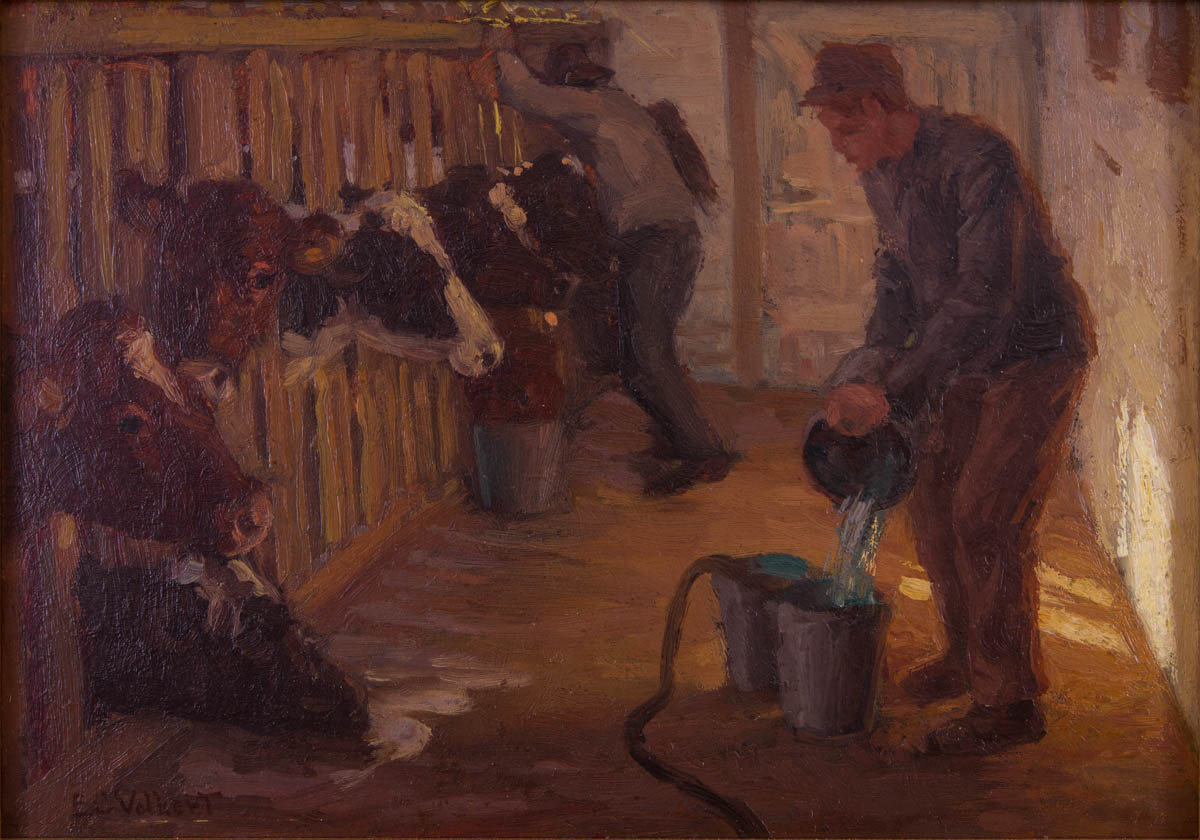 Untitled [milking cows in the barn]