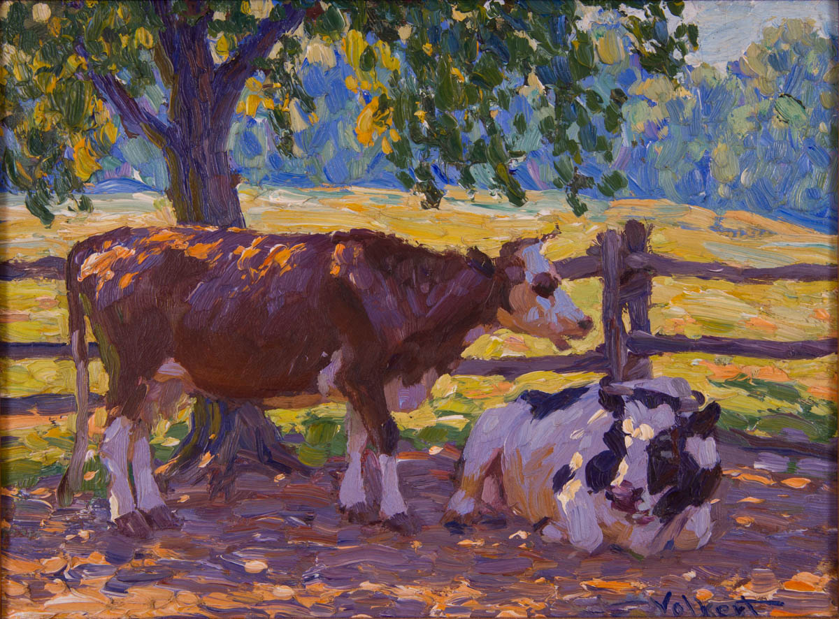 Untitled [two cows under shade near fence]