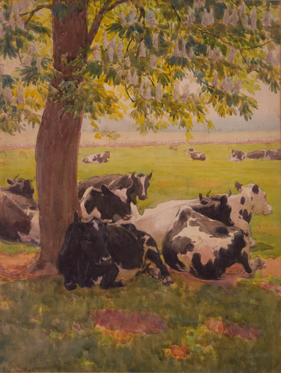 Untitled [Black and white cows under flowering tree]