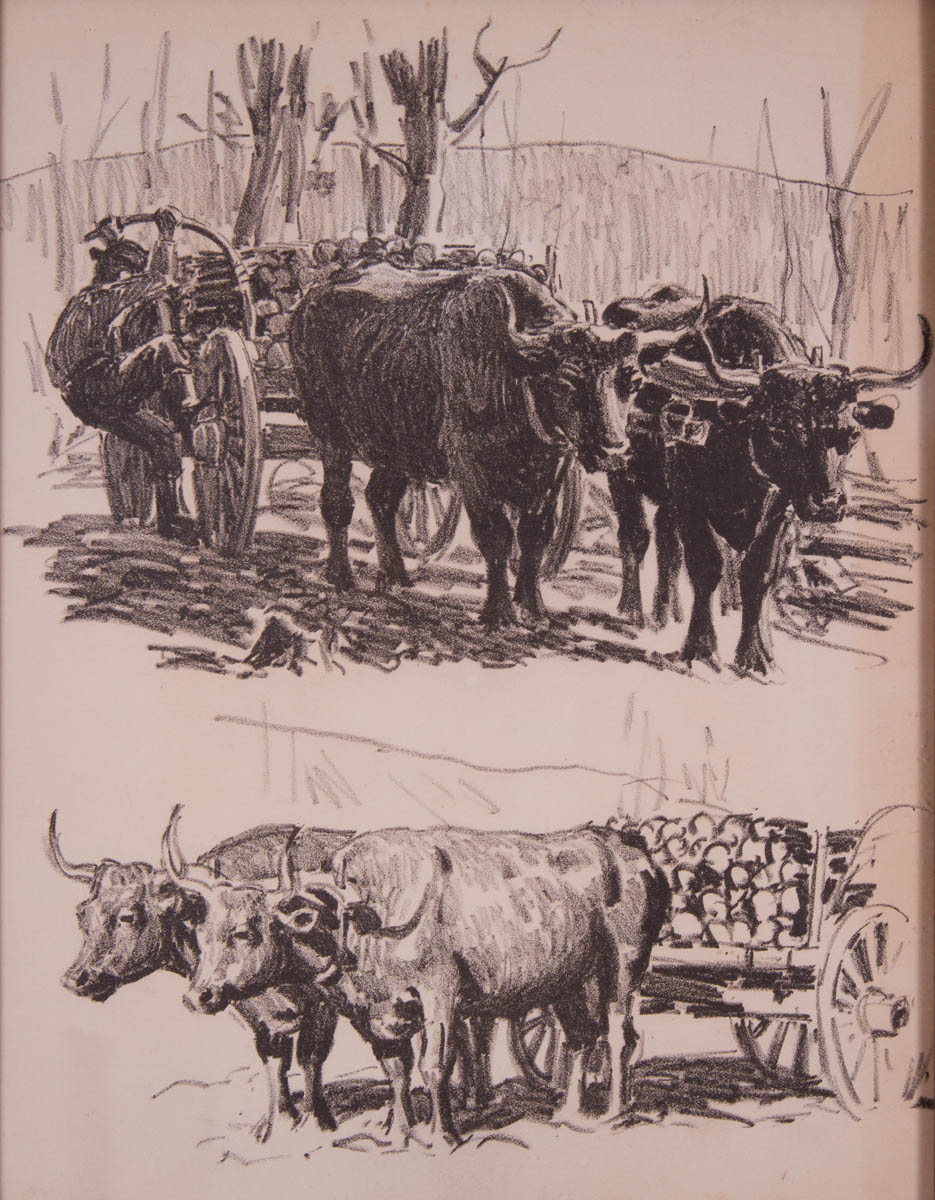 Untitled [Two views of oxen and wagons]
