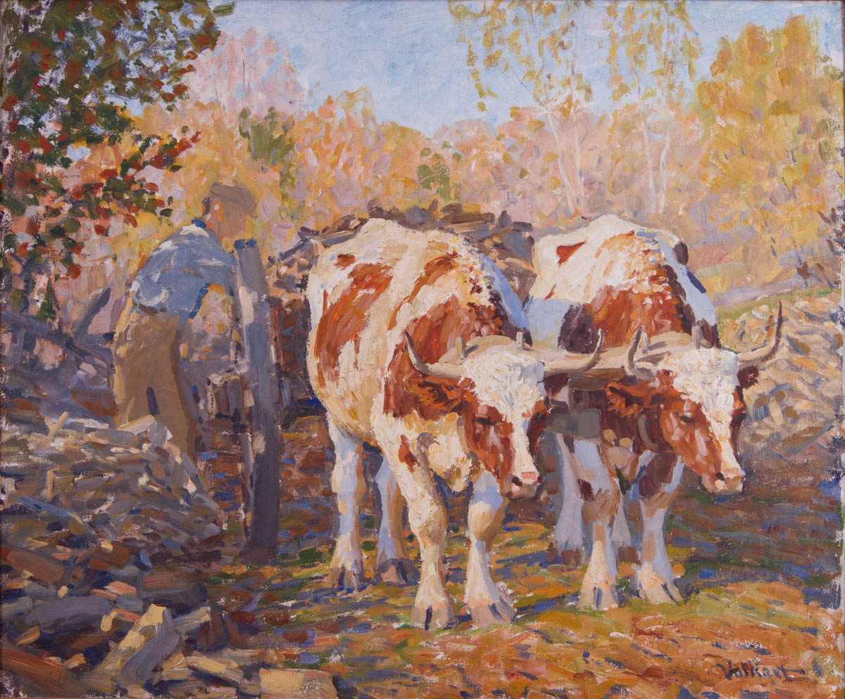 Untitled [Man loading cart hitched to white and brown oxen]