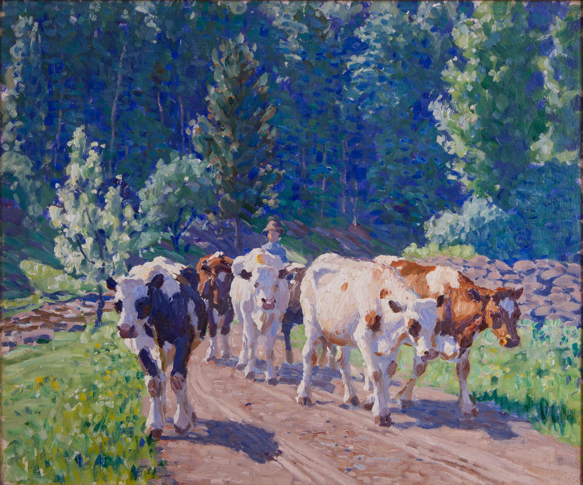 Untitled [Farmer driving cows down road]