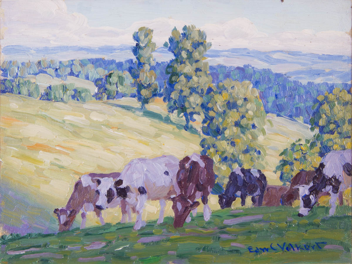 Untitled [Cattle grazing in the shade]