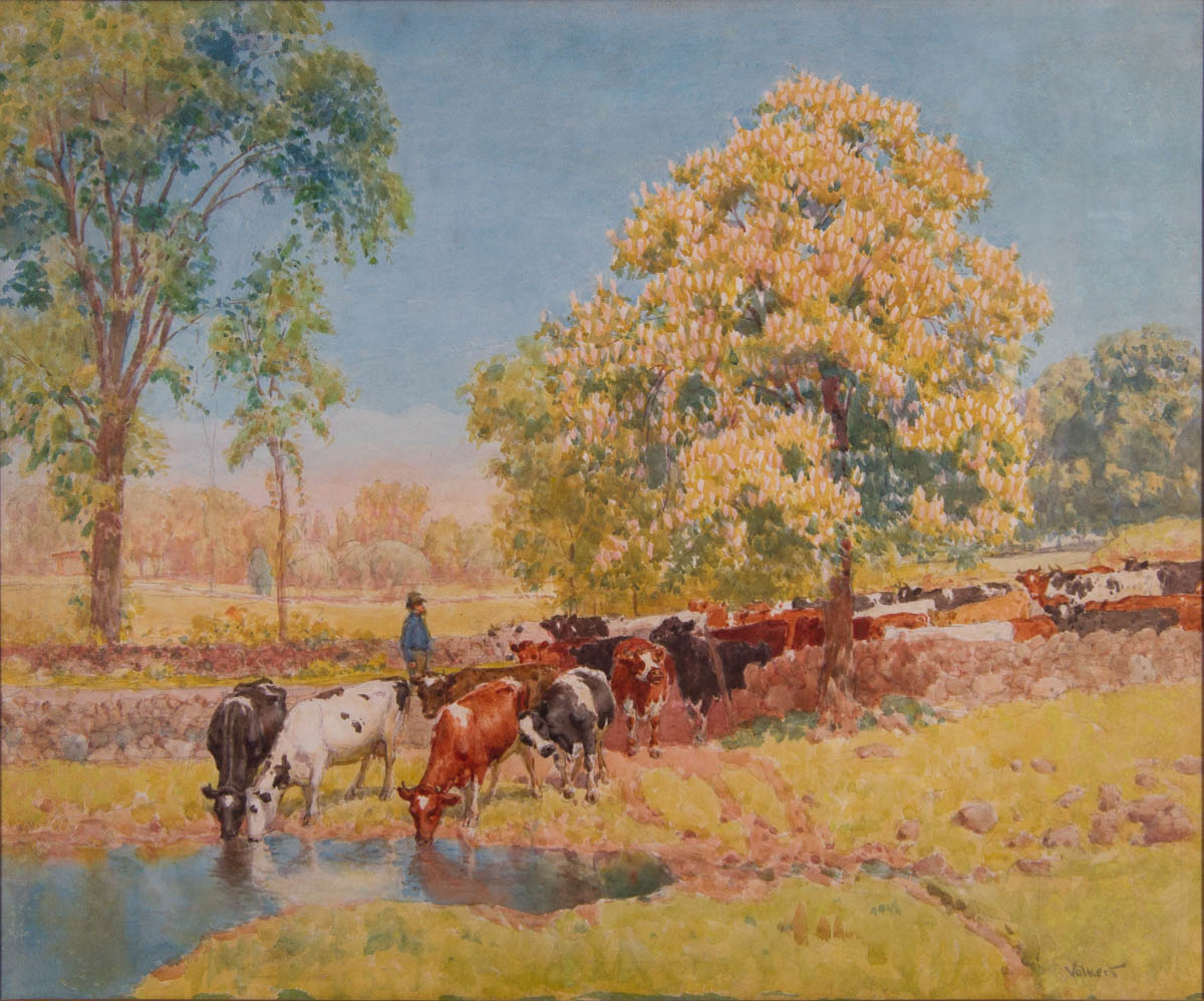 Untitled [Cattle at watering hole]