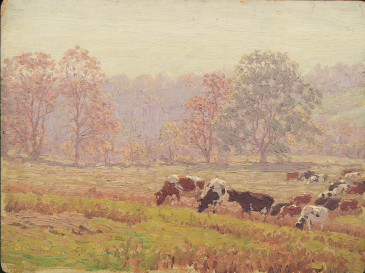 Untitled [Holsteins and Guernseys grazing in pasture]