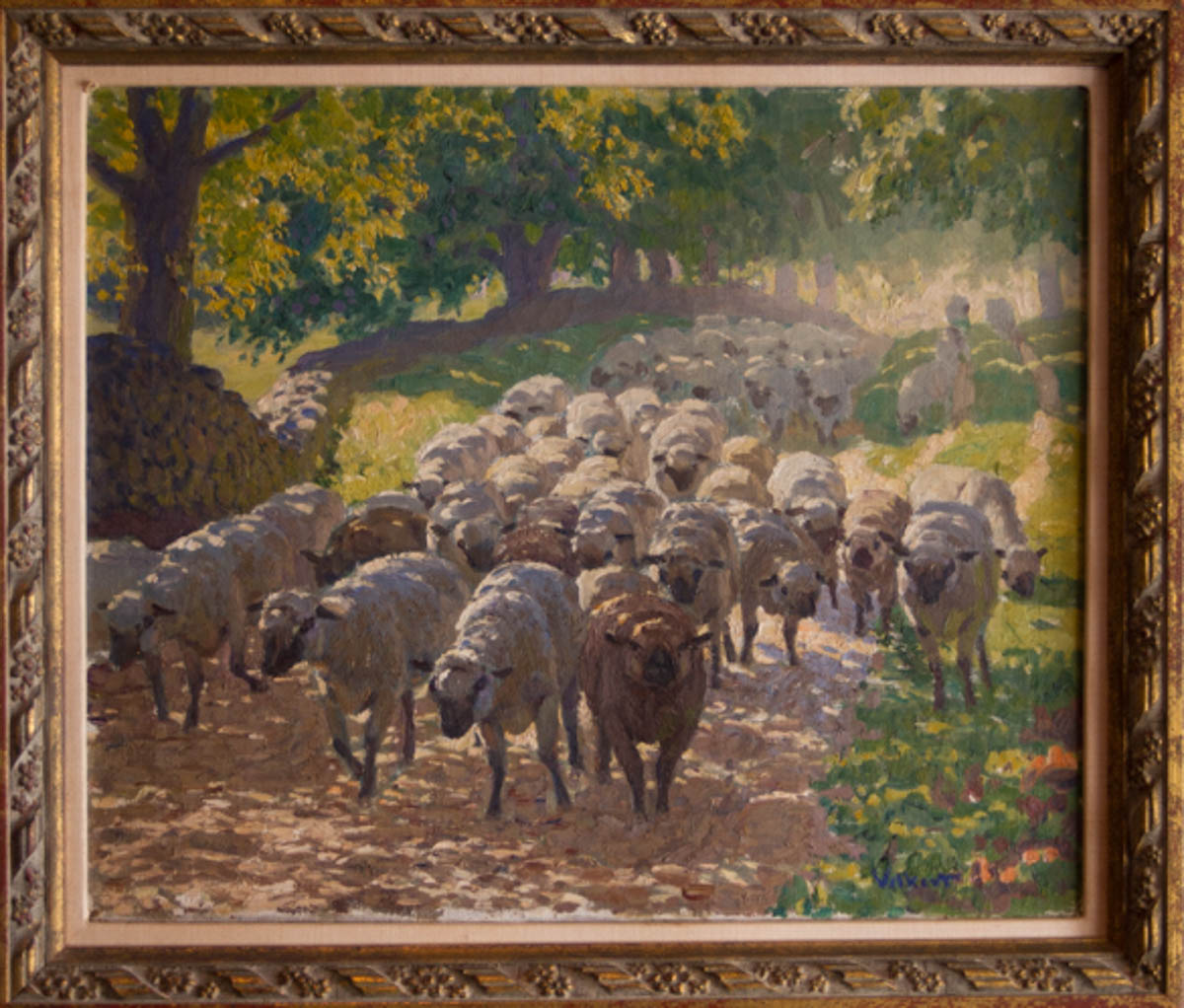 Untitled [Sheep on road with one brown animal in front]