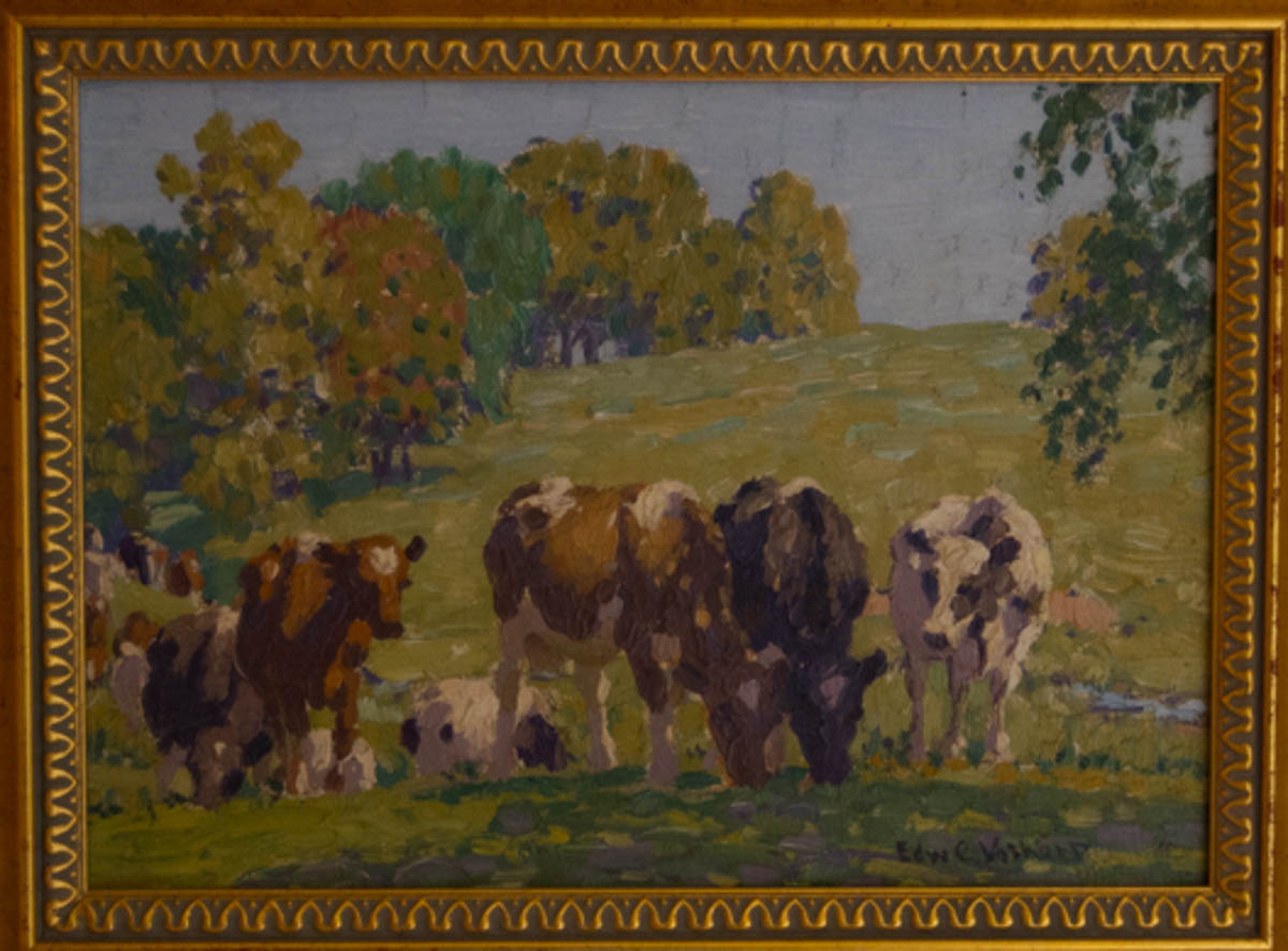 Untitled [Black and brown cattle grazing with heads together]