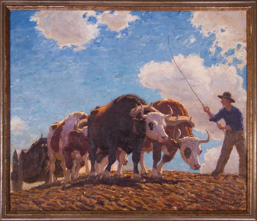 Untitled [Man driving oxen over hill]