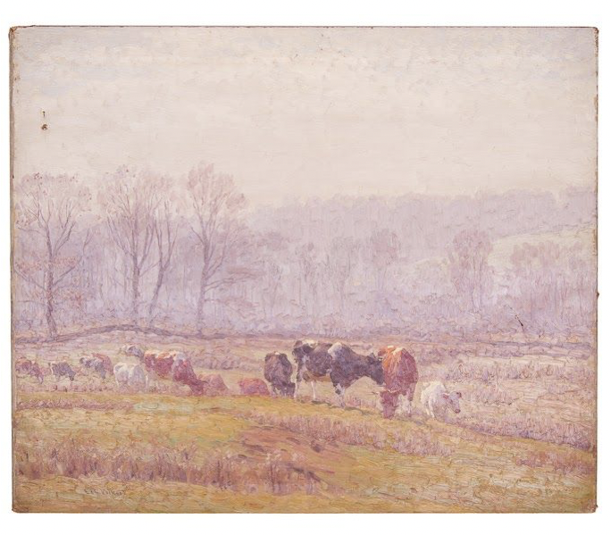 Untitled [Guernseys and Holsteins in misty field